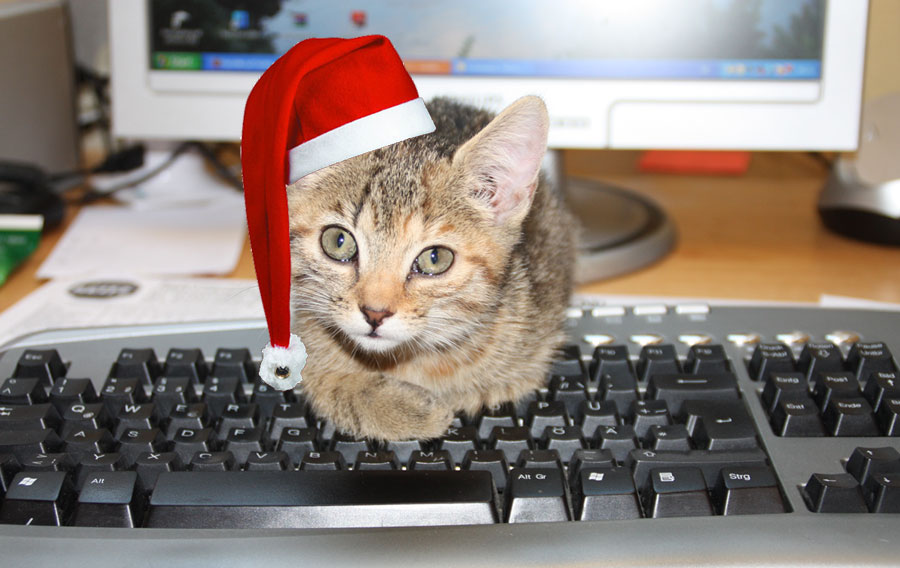 3 Tipps für wirkungsvolle Weihnachtspost
