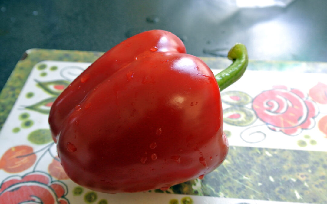 Blog-Parade: Einfach gut essen – mediterranes Gemüse-Hähnchen für Fleischesser, Vegetarier und Low Carb-Fans
