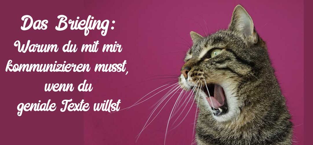 Das Briefing: Warum du mit mir kommunizieren musst, wenn du einen guten Text willst