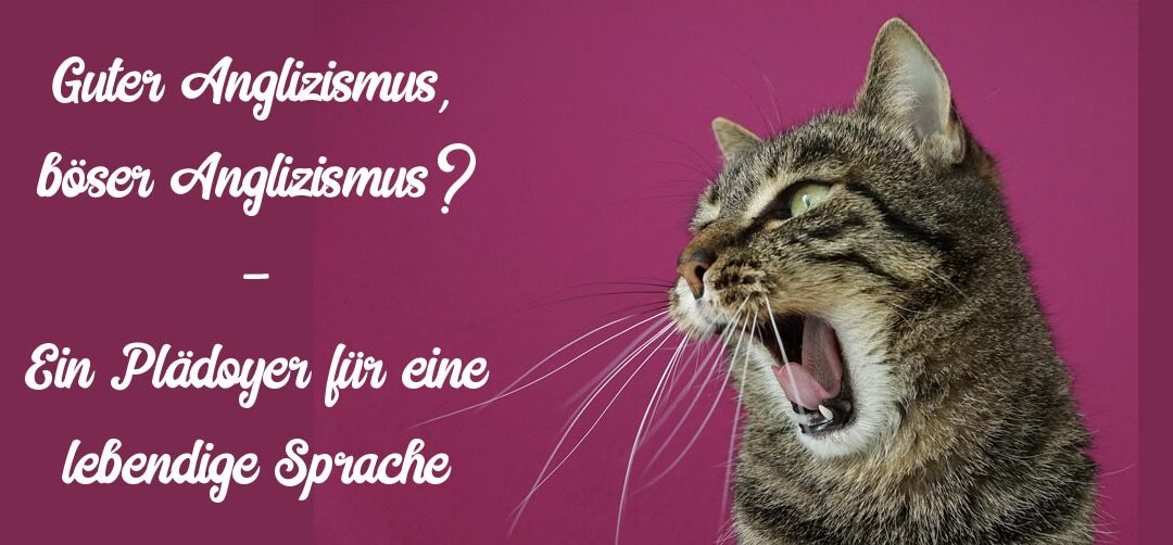 Guter Anglizismus, böser Anglizismus? – Ein Plädoyer für eine abwechslungsreiche, lebendige Sprache