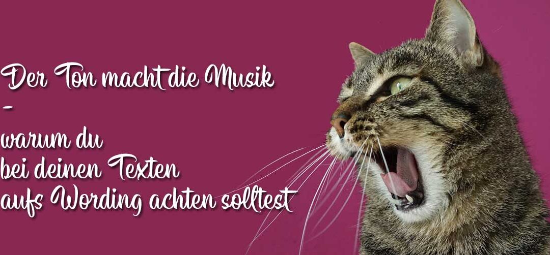 Warum du bei Website-Texten und Blog-Artikeln auf deine Wortwahl achten solltest