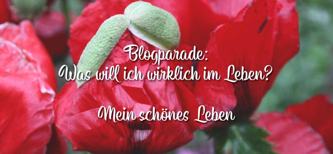 Blogparade: Was will ich wirklich im Leben